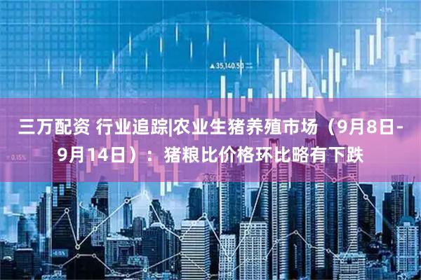 三万配资 行业追踪|农业生猪养殖市场（9月8日-9月14日）：猪粮比价格环比略有下跌