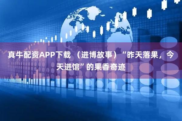 真牛配资APP下载 （进博故事）“昨天落果，今天进馆”的果香奇迹