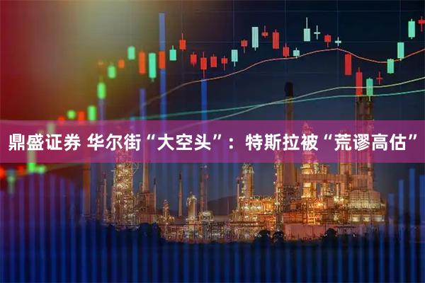 鼎盛证券 华尔街“大空头”：特斯拉被“荒谬高估”