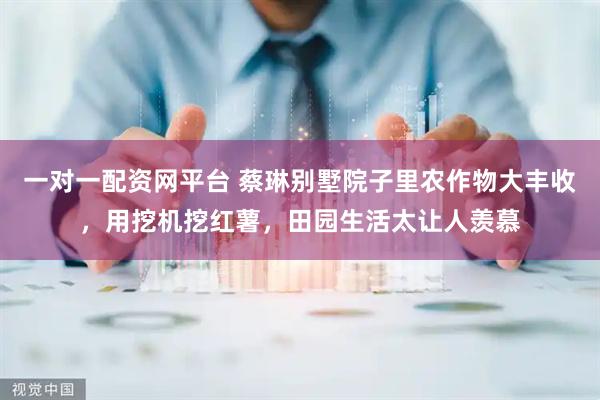 一对一配资网平台 蔡琳别墅院子里农作物大丰收，用挖机挖红薯，田园生活太让人羡慕