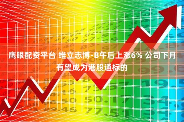 鹰眼配资平台 维立志博-B午后上涨6% 公司下月有望成为港股通标的